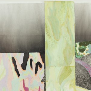 Fiona Van Oyen, Changing landscapes, 2024