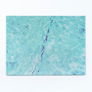 Elizabeth Thomson, Delta, 2009