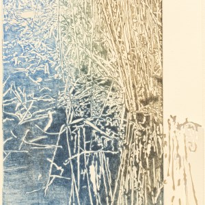 Fiona Van Oyen, Wetland III, 2024