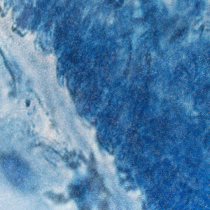 Elizabeth Thomson, Ocean of Eden, topographical study for the Aviatrix (diptych), 2012