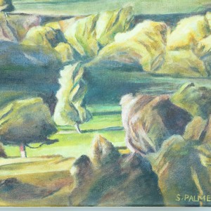 Stanley Palmer, Across Rangitaiki Gorge, 2020