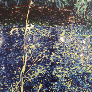 Fiona Van Oyen, Cashmere Stream, Hendersons Road, 2022