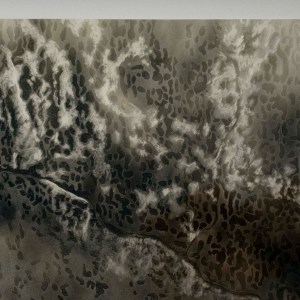 Fiona Van Oyen, Carbon Water and Air, 2022