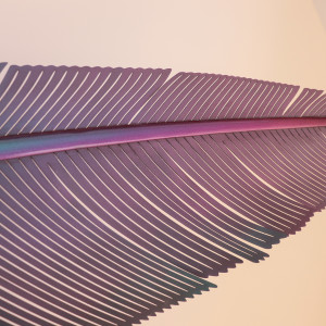 Neil Dawson, Kererū feather, 2020