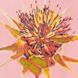 Pete Wheeler, Thistle (study), 2024