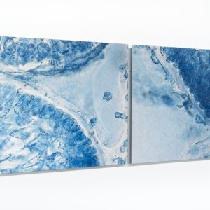 Elizabeth Thomson, Ocean of Eden, topographical study for the Aviatrix (diptych), 2012