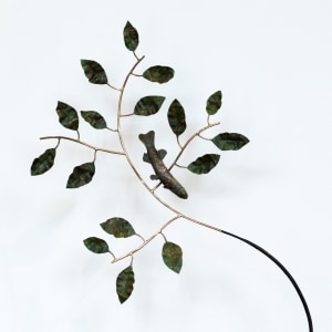 Bing Dawe, Still Life - Container with Galaxiidae and branches Olearia, 2024
