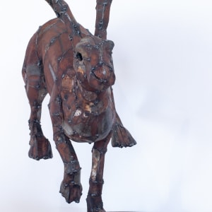 Hannah Kidd, Hare in the Night IV, 2024