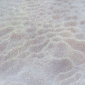 Elizabeth Thomson, Tatio XII, 2017