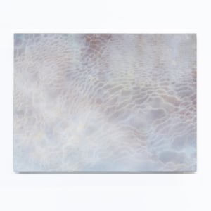 Elizabeth Thomson, Tatio XII, 2017
