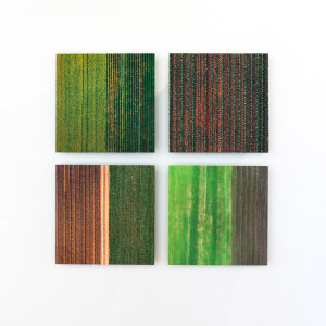 Elizabeth Thomson, Lateral Series - Simultaneity (diptych), 2022