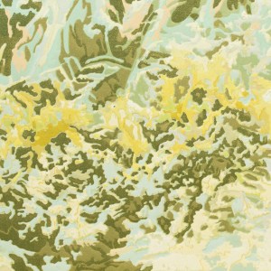 Fiona Van Oyen, Beneath the surface, 2024