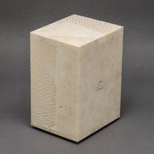Chauncey Flay, Seawall #41, 2024