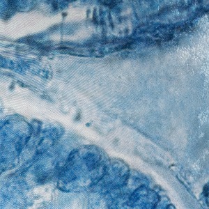 Elizabeth Thomson, Ocean of Eden, topographical study for the Aviatrix (diptych), 2012