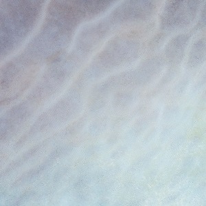 Elizabeth Thomson, Tatio XVIII, 2017