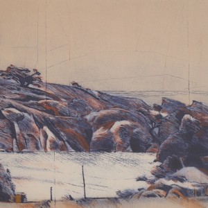 Stanley Palmer, Inlet Whanarua, 1982