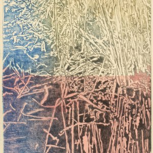 Fiona Van Oyen, Wetland II, 2024