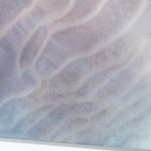 Elizabeth Thomson, Tatio XVIII, 2017