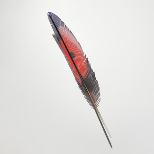Neil Dawson, Red Black Feather, 2020