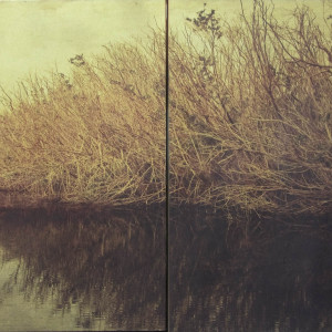 Dorothy Simpson Krause, Backwater, 2008