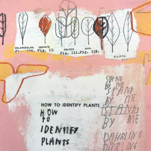 Jimmie James, how to identify plants/ stay here, 2016