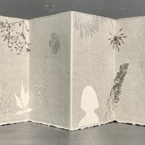 France Dumas, Brume légère, 2020-2021