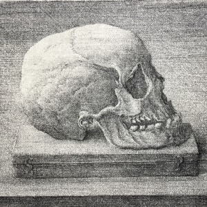 EXPOSITION COLLECTIVE / NOËL 2025