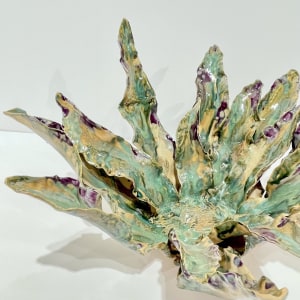 Helena Arellano Mayz, Agave, 2024