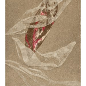 Helena Arellano Mayz, Série Hojarasca - Feuillage 01, 2025