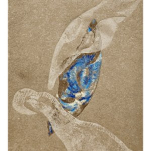 Helena Arellano Mayz, Série Hojarasca - Feuillage 02, 2025