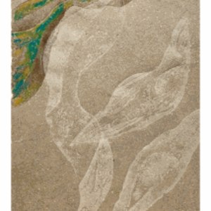 Helena Arellano Mayz, Série Hojarasca - Feuillage 03, 2025