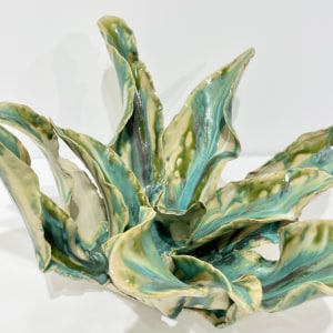 Helena Arellano Mayz, Agave, 2024