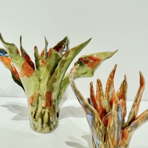 Helena Arellano Mayz, Aloe Vera, 2024