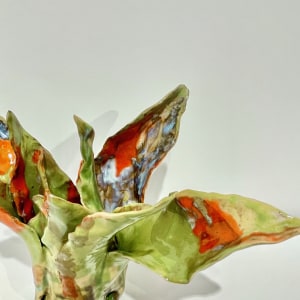 Helena Arellano Mayz, Aloe Vera, 2024