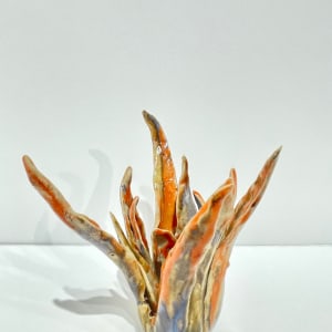 Helena Arellano Mayz, Aloe Vera, 2024