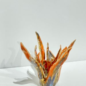 Helena Arellano Mayz, Aloe Vera, 2024