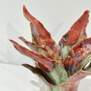 Helena Arellano Mayz, Agave, 2024