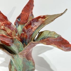 Helena Arellano Mayz, Agave, 2024