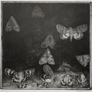 Charles Donker, Rood Weeskind (Catocala nupta), 2024