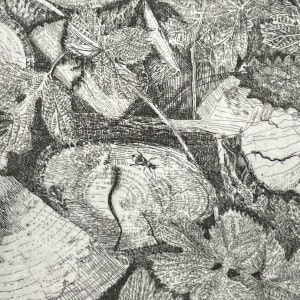 Charles Donker, Hop XV (Houblon XV), 2024