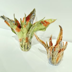 Helena Arellano Mayz, Aloe Vera, 2024