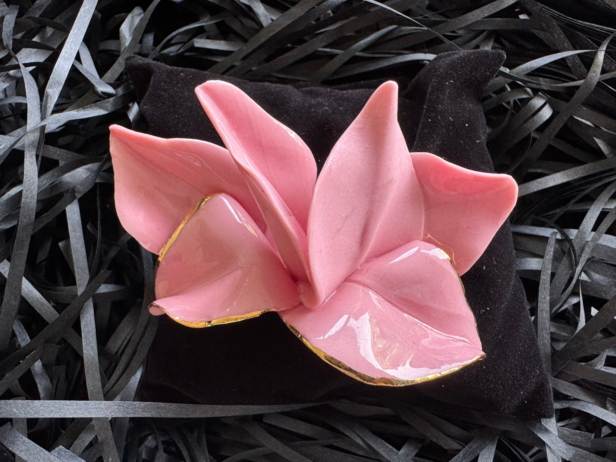 The Dreaming Flowers