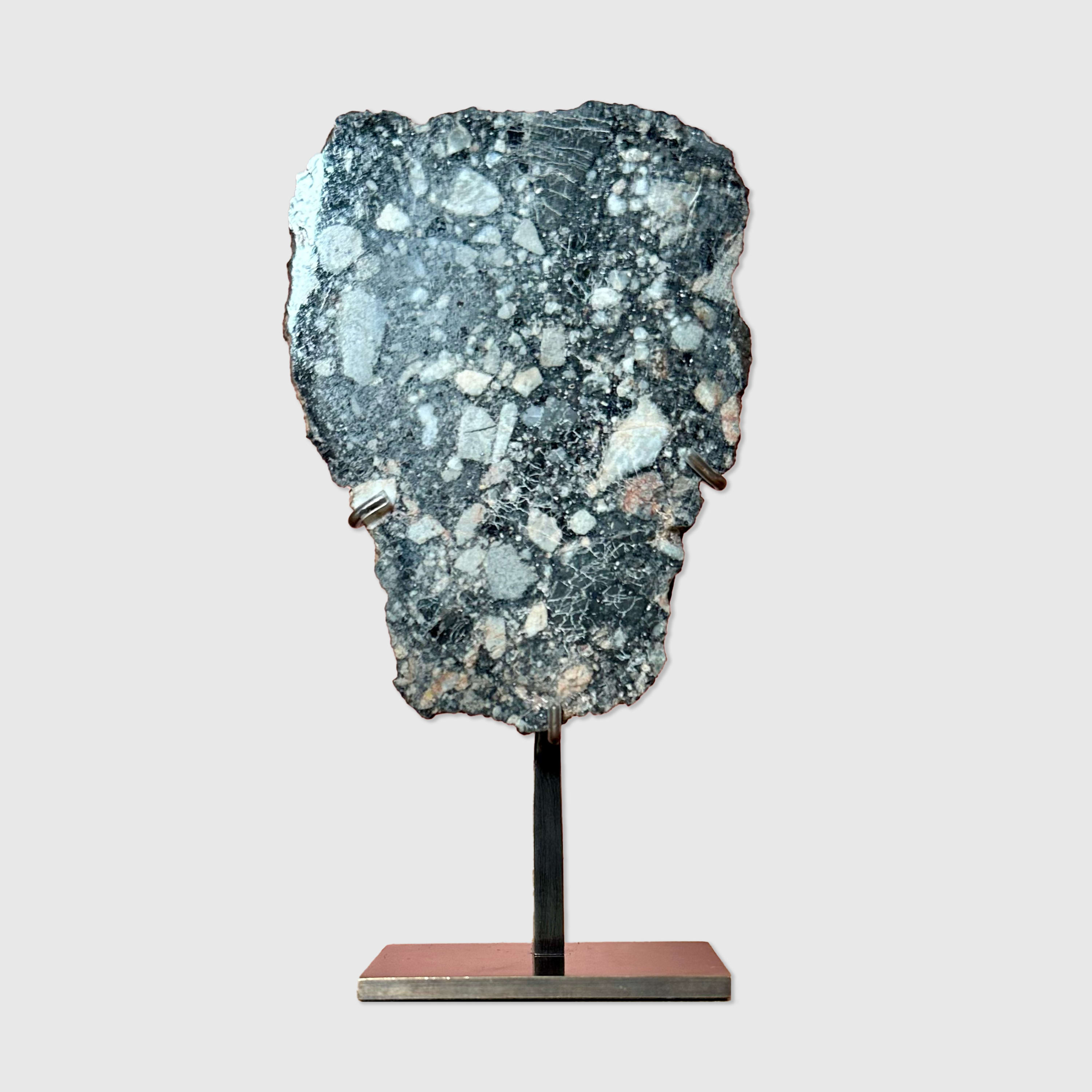 Natural History, Lunar Slice