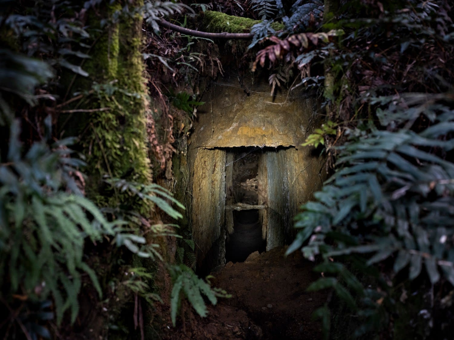 A Surrounded Beauty aims to convey how entwined people are with place... - Sarah Rhodes