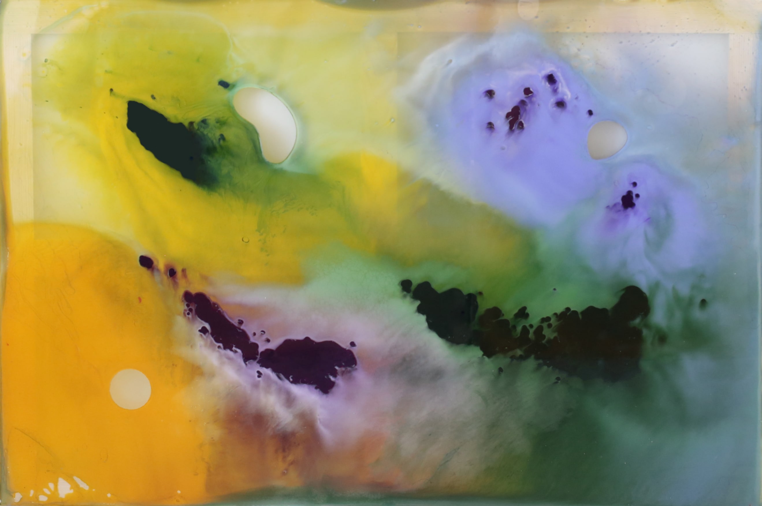 Cristina Gamón, 80 Landscape