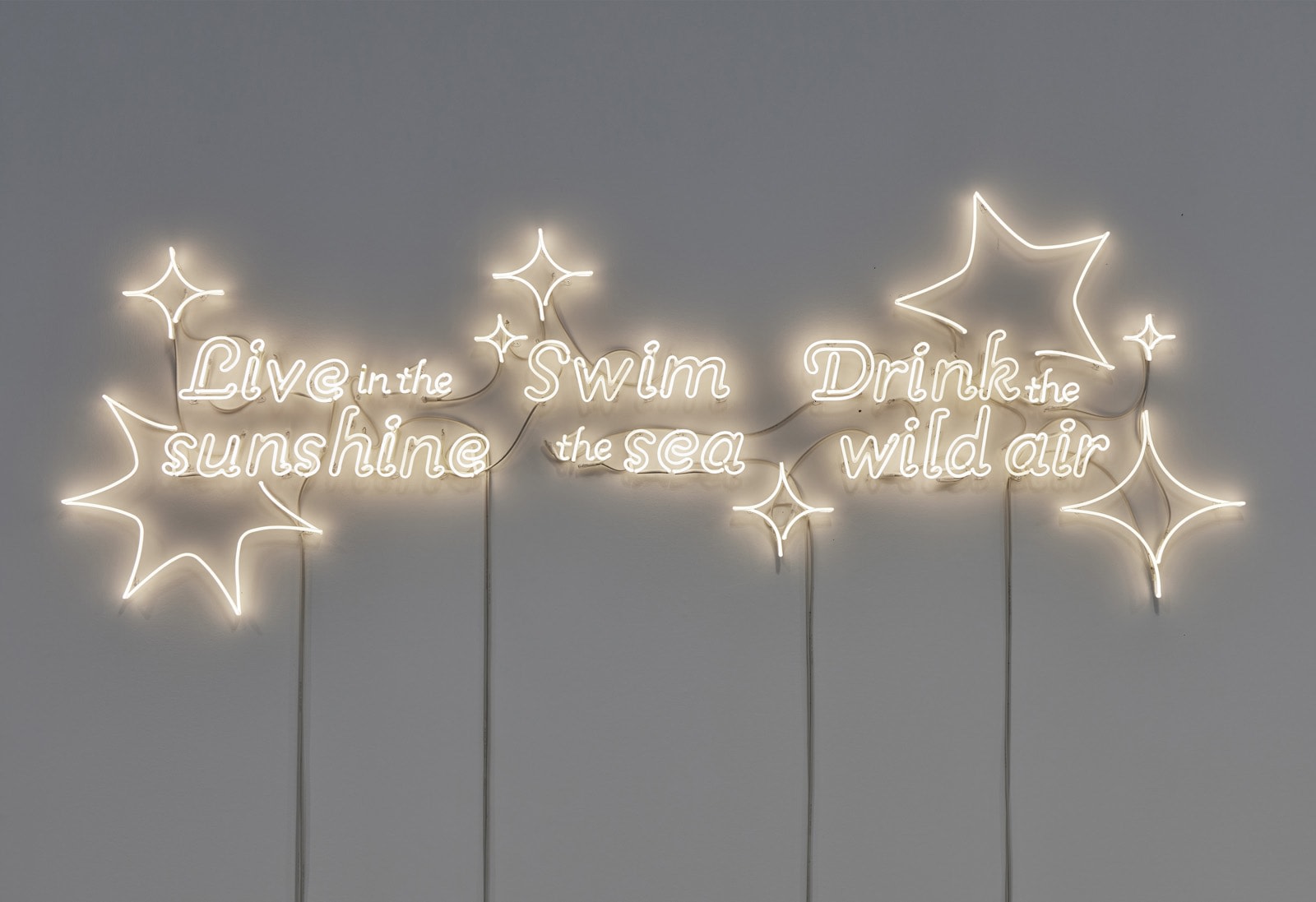 Andrea Bowers, Live in the Sunshine, Swim the Sea, Drink the Wild Air (Quote by Ralph Waldo Emerson), 2023