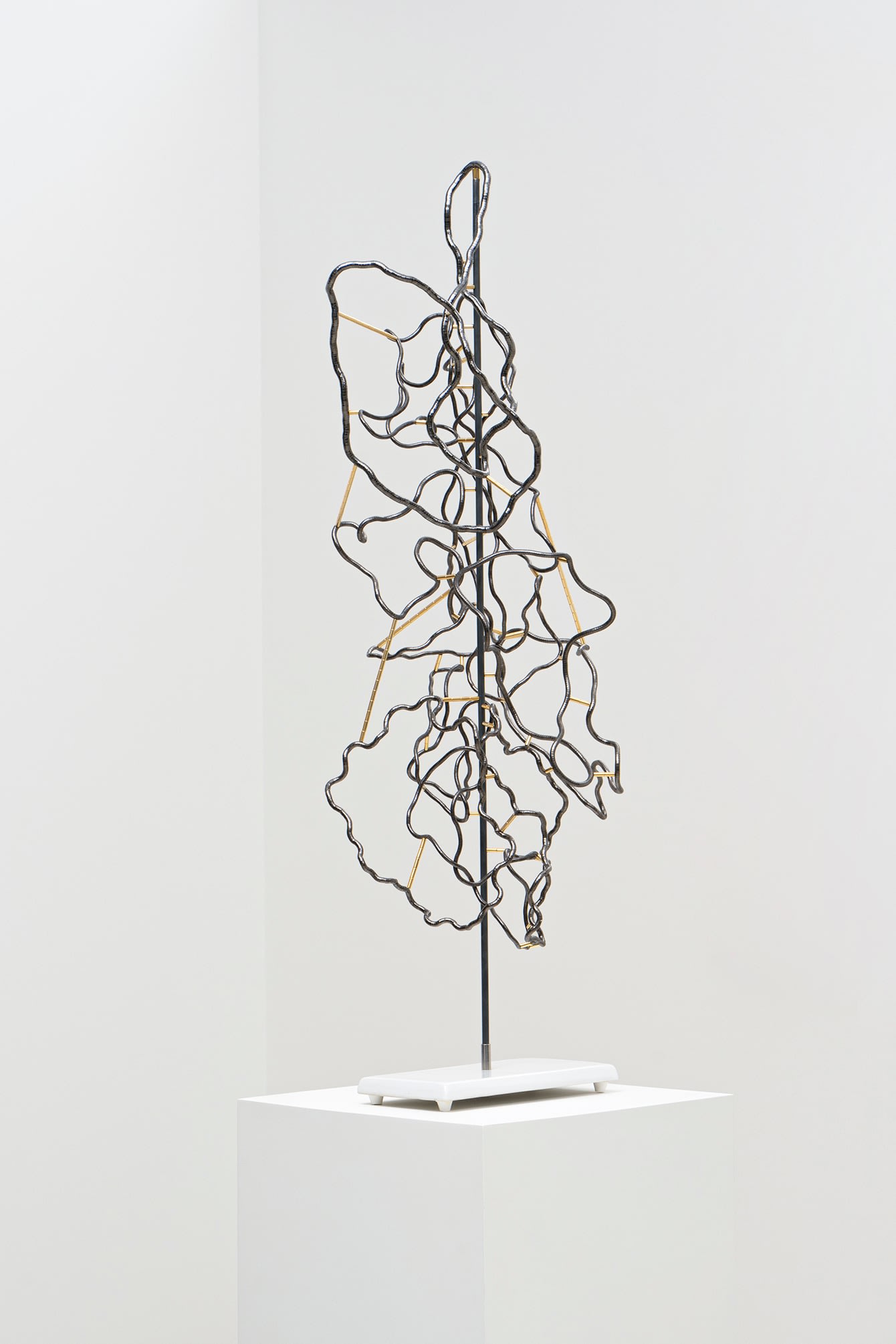 This work explores the push and pull of life through material and media. Ideas of energy are explored as certain...