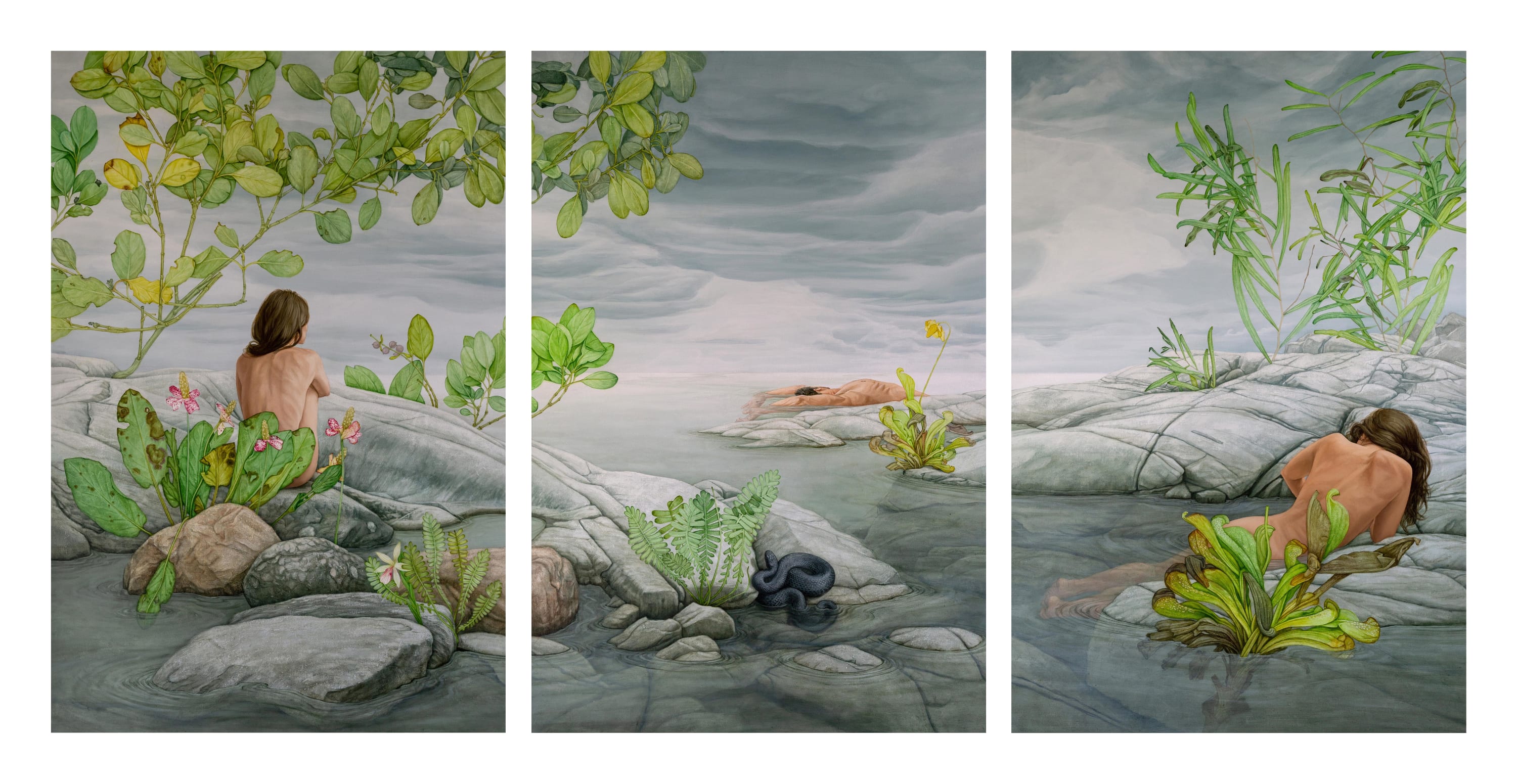 Morteza Pourhosseini, Pale Vision, 2025