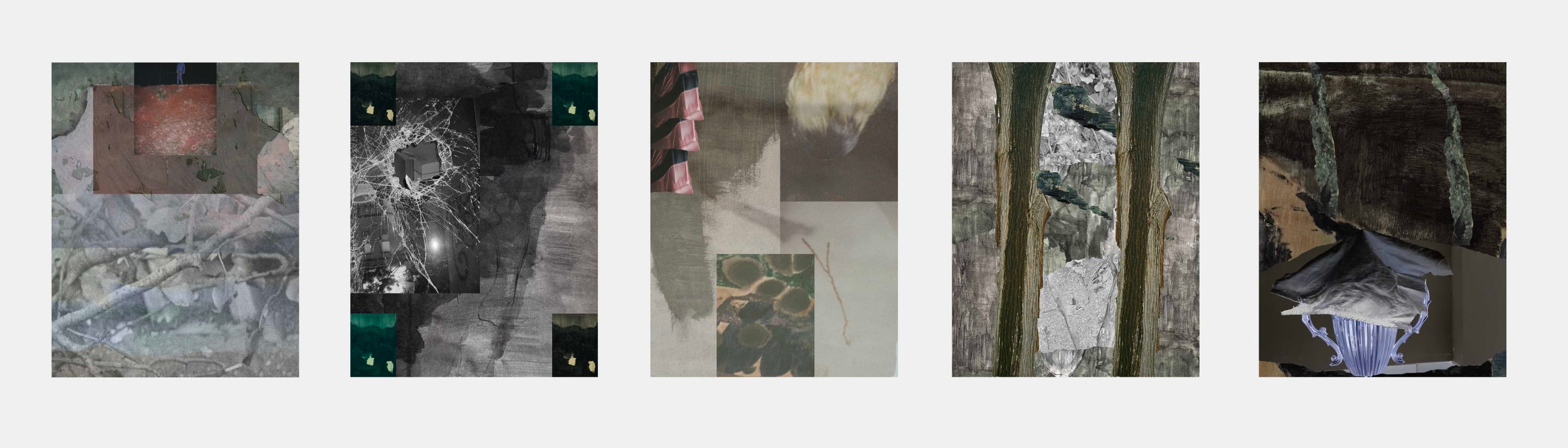 Biraaj Dodiya, Growing Orbits, 2026