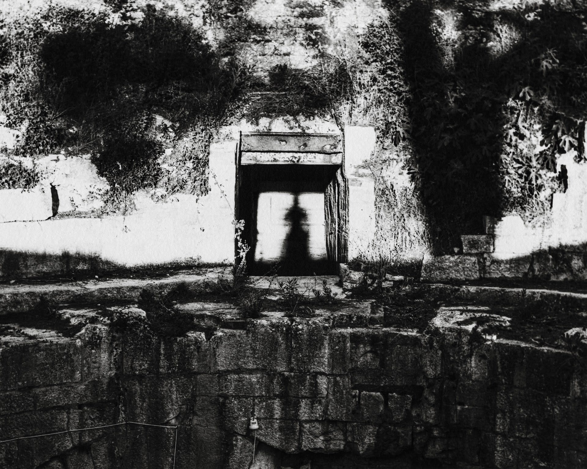 Andrej Lamut se v aktualni seriji, posneti v analogni tehniki, spretno giblje v polju metafor človeškega telesa in narave, v...